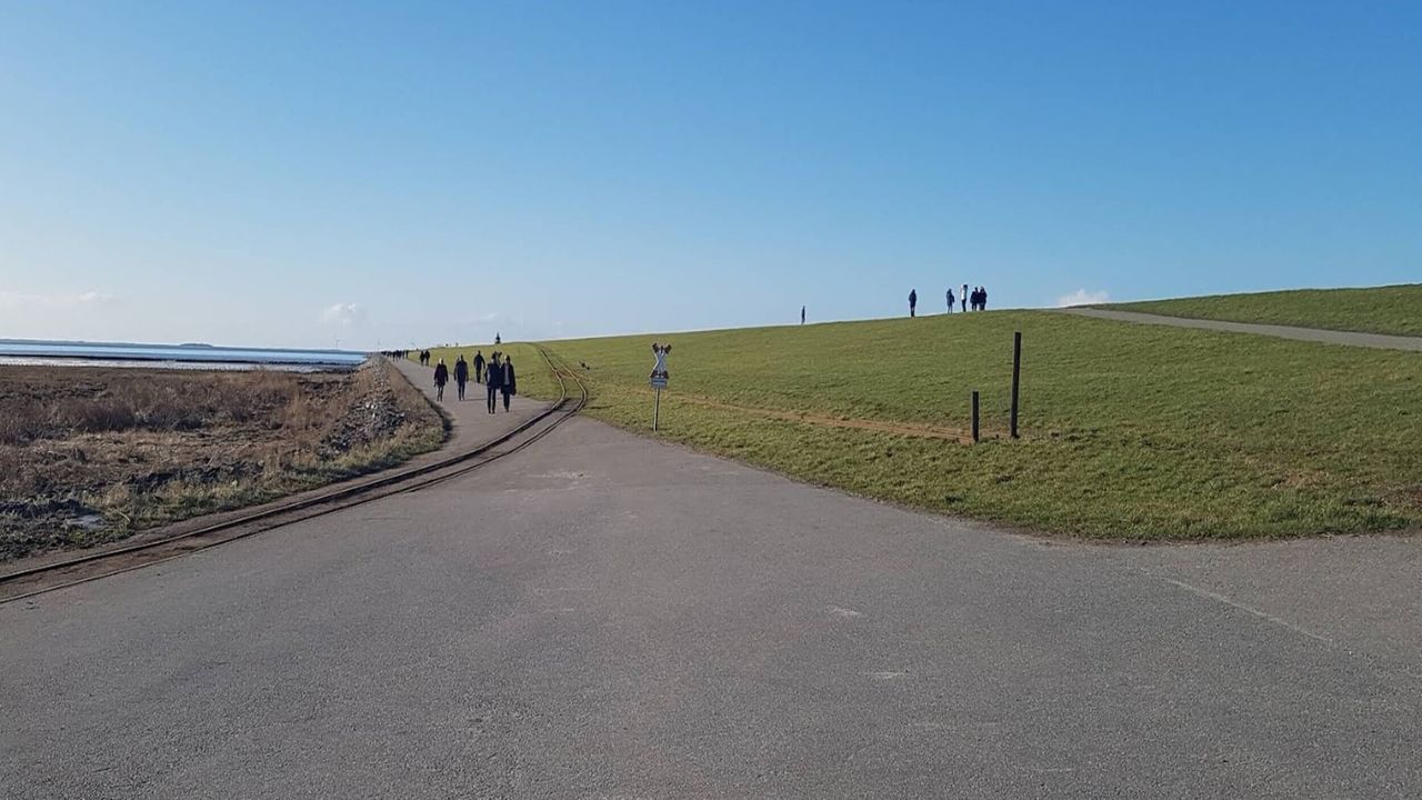 AreaSummer5KM AreaSummer5KM